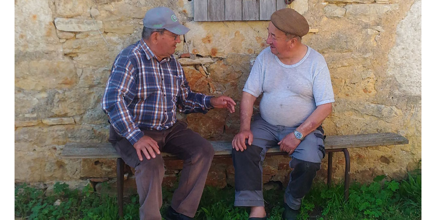 Naissance d'une vigne - Domaine du Prince